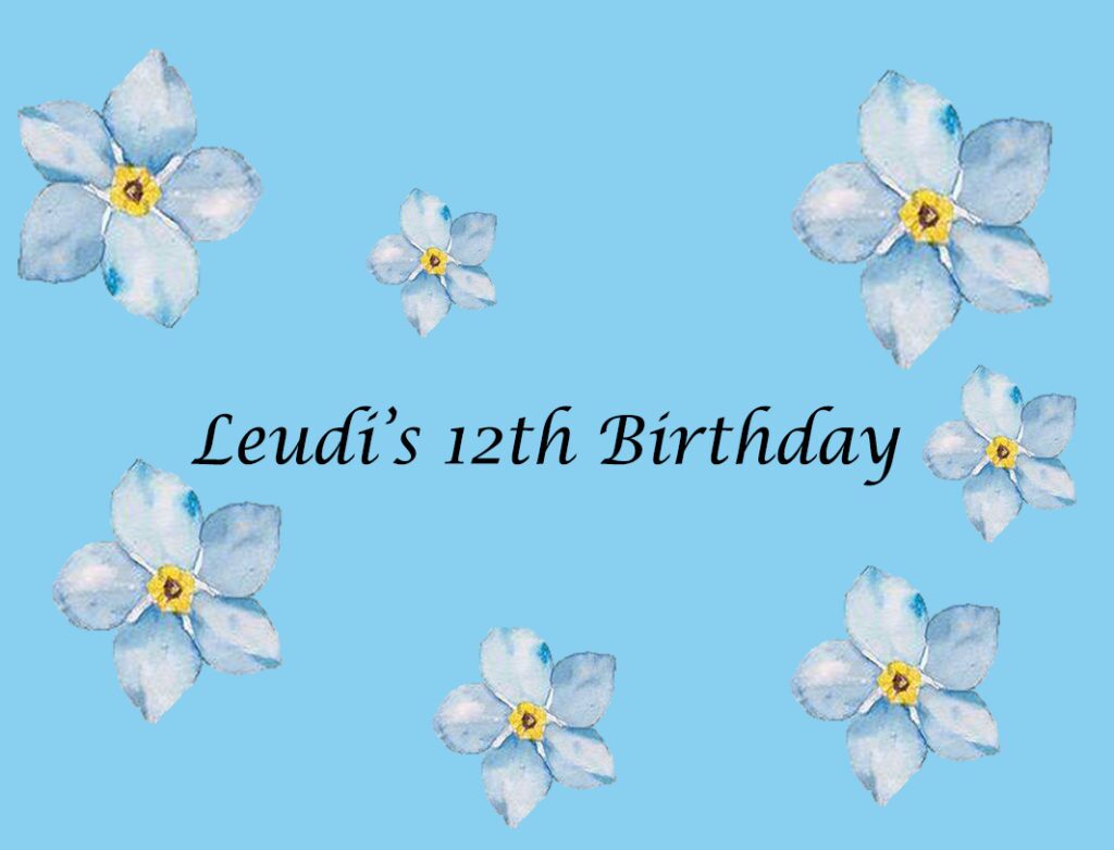 Leudi
